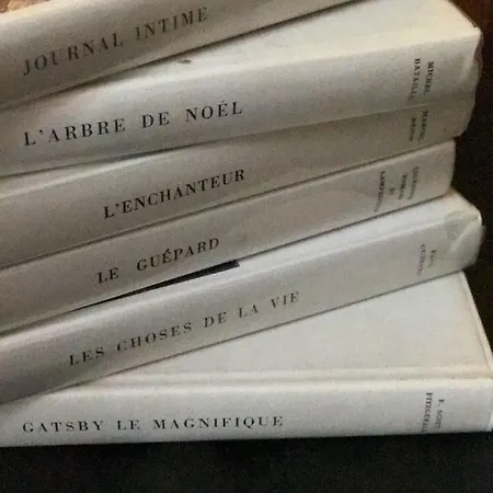 D.floor House & Contigne